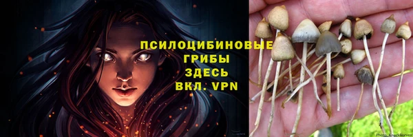 амф Покров