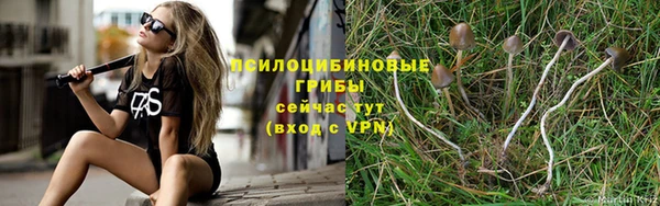 амф Покров