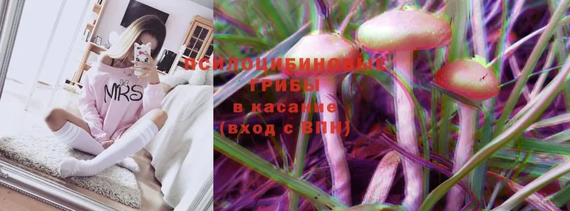 Псилоцибиновые грибы Psilocybine cubensis  ссылка на мегу зеркало  Абинск 