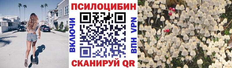 купить наркоту Абинск Галлюциногенные грибы прущие грибы
