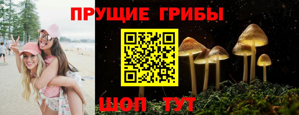 Абинск  наркошоп  Вход с VPN  Галлюциногенные грибы Cubensis  Псилоцибиновые грибы Magic Shrooms 