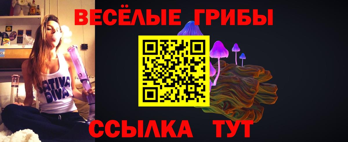Псилоцибиновые грибы мухоморы Абинск